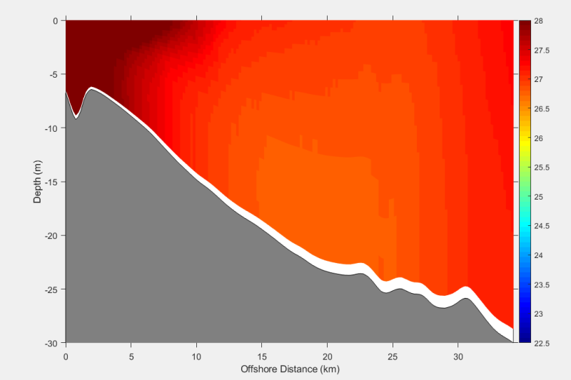 Fig 1. vertical temperature field in estuary, simulated