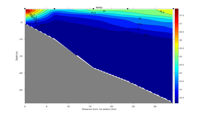 Fig 2. Same to Fig 1. except for observation.