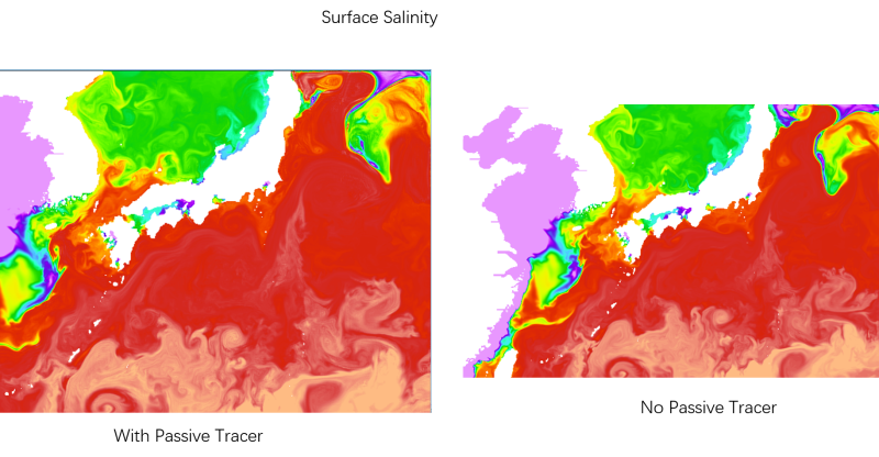 surface salinity at Northern east conner with T_PASSIVE tur on and turn off